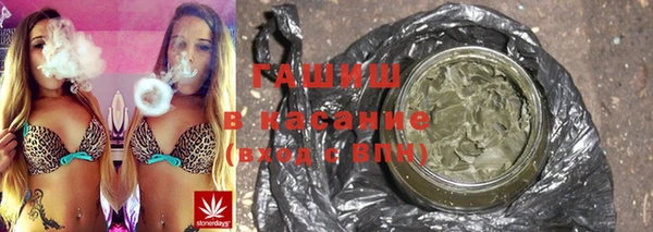 стаф Болхов