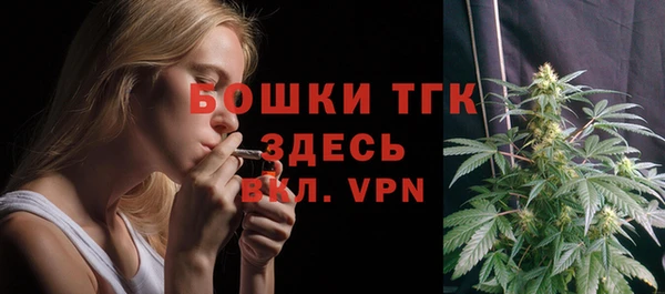 гашик Алексеевка